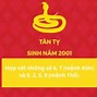 Nữ 2001 Hợp Màu Gì Năm 2023