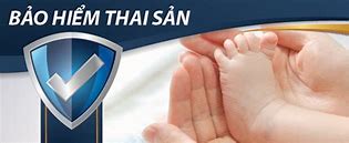 Tra Cứu Hồ Sơ Bảo Hiểm Thai Sản